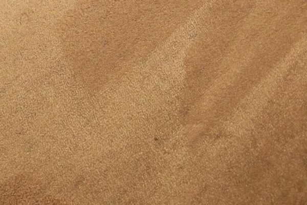 Castor - Image 2