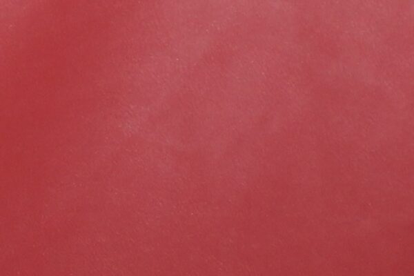 Pegaso - Image 2